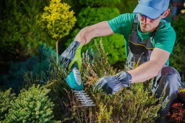 landscaping services Benkelman